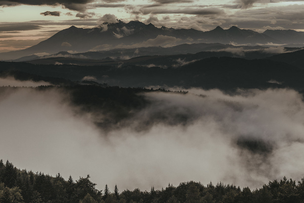 meska-wyprawa-do-puszczy-02