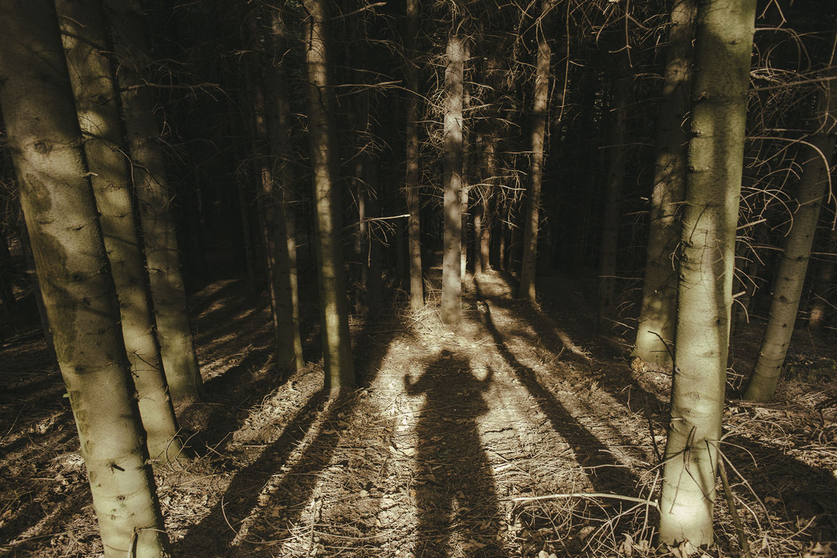 meska-wyprawa-do-puszczy-03