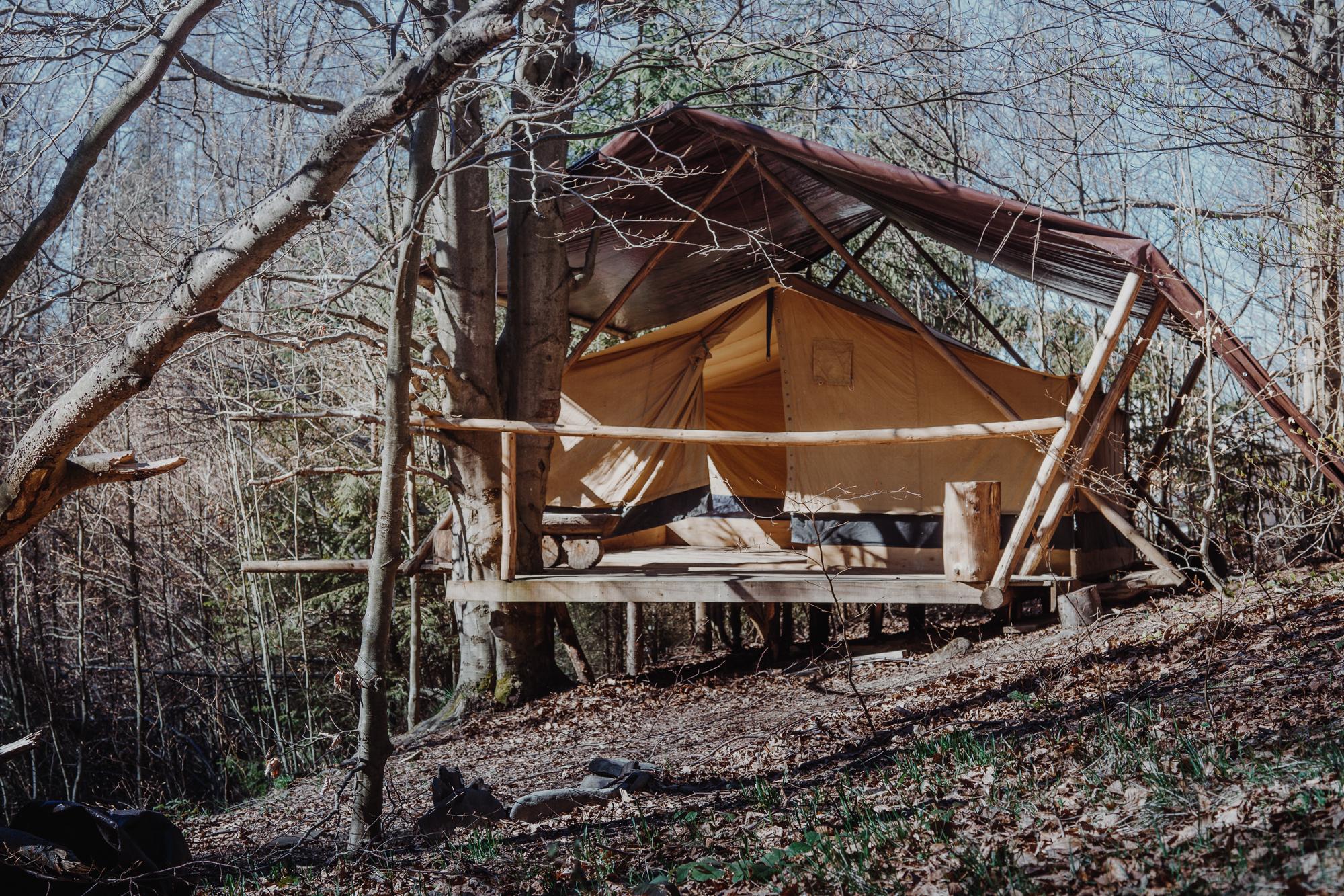 meska-wyprawa-do-puszczy-04